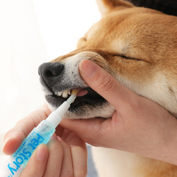 Pet Dog Teeth Cleaning Kit Pet Beauty Toothbrush Dog Cat Tartar Dental Stone Cleaning Pen