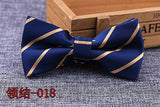 Microfiber Bowtie Woven Dot  Bow Tie