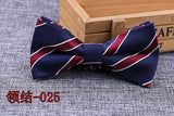 Microfiber Bowtie Woven Dot  Bow Tie