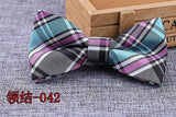 Microfiber Bowtie Woven Dot  Bow Tie