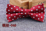 Microfiber Bowtie Woven Dot  Bow Tie