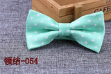 Microfiber Bowtie Woven Dot  Bow Tie