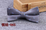 Microfiber Bowtie Woven Dot  Bow Tie