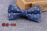 Microfiber Bowtie Woven Dot  Bow Tie