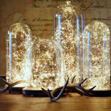 1M 2M 3M 5M 10M Copper Wire LED String Lights