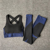 Seamless Women Yoga Sets . Female Sport Gym suits