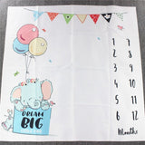 Baby Play Mats Infant Portray Diaper Milestone Photo Background Blankets Kids Calendar Backdrop Cloth Photography Props