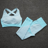 Seamless Women Yoga Sets . Female Sport Gym suits